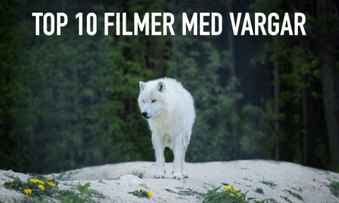 Bästa Varg Filmerna